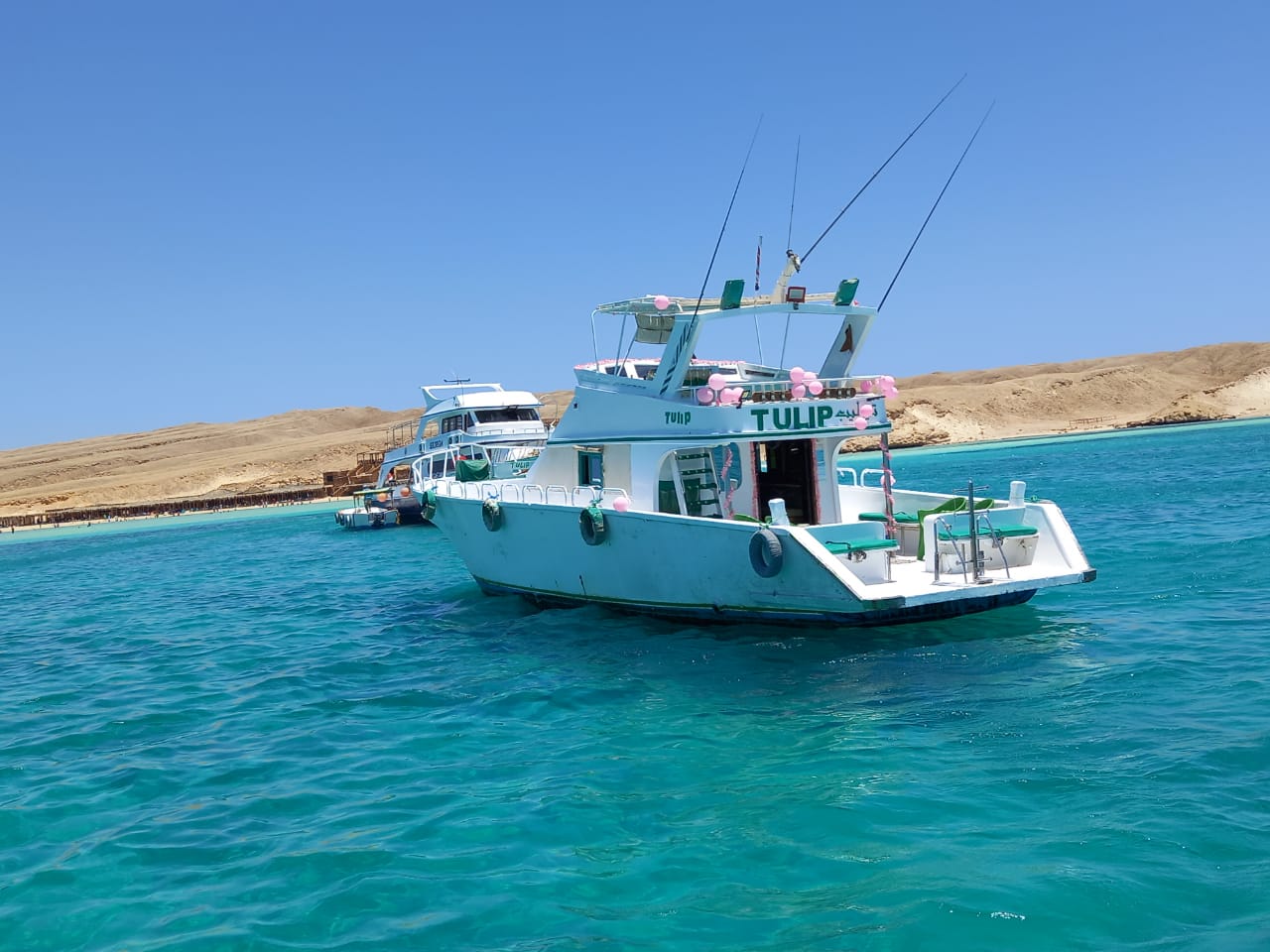 Hurghada Schnorcheln